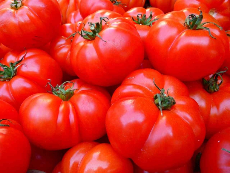 Tomat memiliki banyak manfaat yang bagus bagi kesehatan - (Foto by: Logga Wiggler)