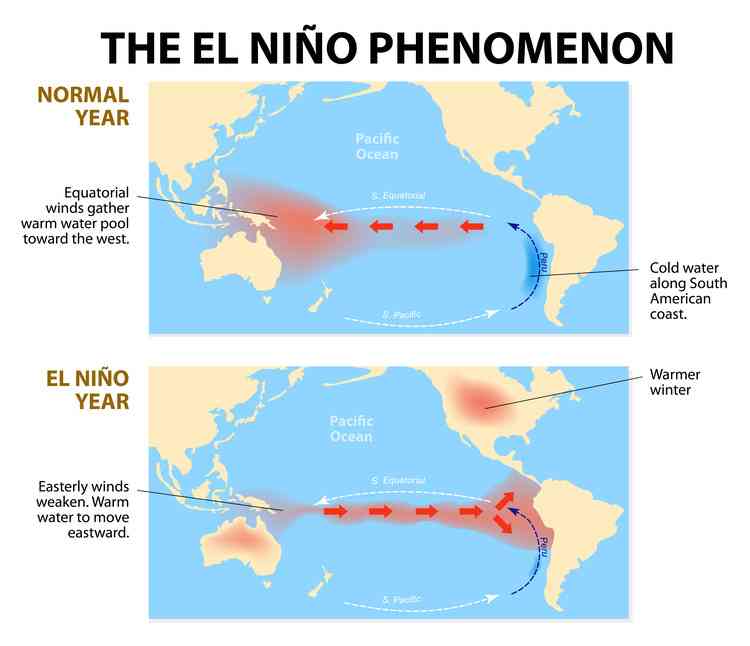 Perbedaan kondisi tahun normal dan tahun saat ada El Nino (dok foto: geographical.co.uk)