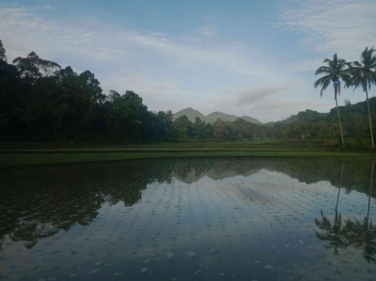 Pemandangan di Sudut Nagari Talang Anau. Sumber: Dokumentasi Penulis, 2023. 