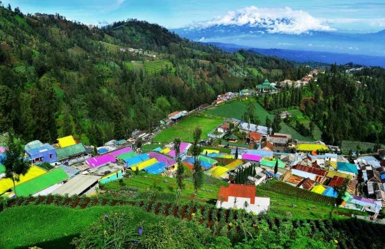 Kampung Kelir Tosari, Sumber: Foto desakami.com