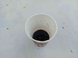 Espresso dari Kopi Arabika Bromo (Gambar: Firman Rahman) 