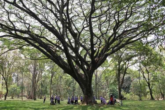 Kebun Raya Purwodadi, Sumber: Foto agendaindonesia.com