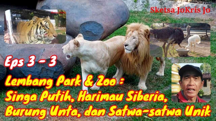 Sumber Foto : Dok J.Krisnomo