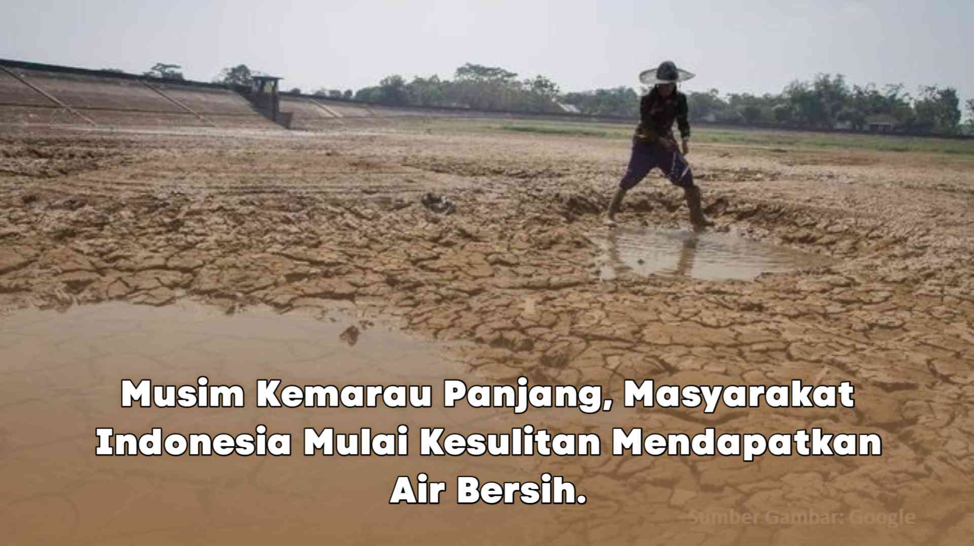 Musim Kemarau Panjang, Masyarakat Indonesia Mulai Kesulitan Mendapatkan ...