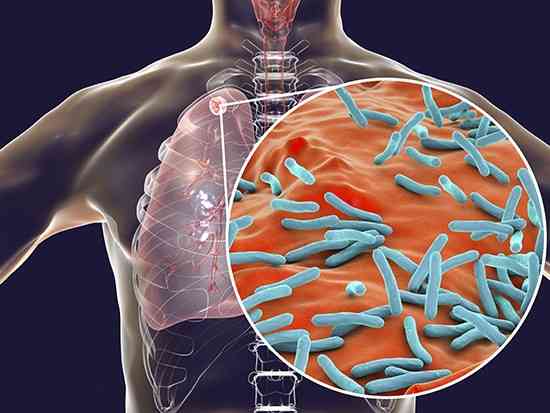 https://www.uab.edu/news/research/item/12470-how-the-pathogen-mycobacterium-tuberculosis-secretes-and-trafficks-its-only-known-exotoxin
