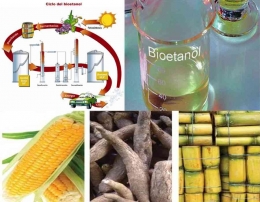 Bahan baku pembuatan bioetanol (dok IPM Teknik)