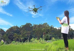 Pemanfaatan Drone untuk pertanian ( dok MSMBindonesia.com)