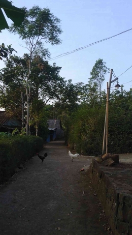 Gang menuju omahe Simbok ku (Dokpri)