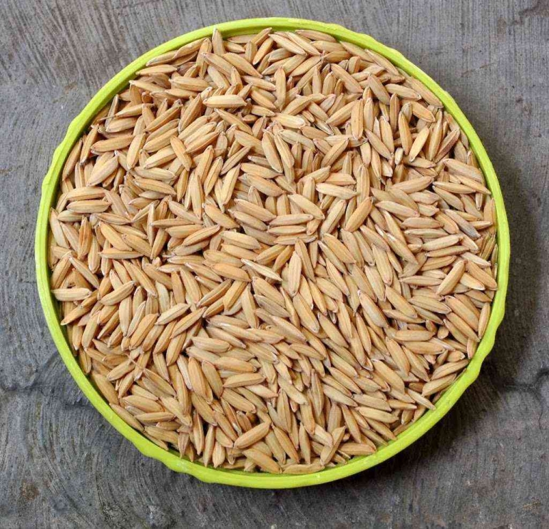 Benih padi yang baik dan berkualitas dapat diseleksi dan dipertahankan oleh petani secara turun-temurun (dok foto: pejuangpangan.com)