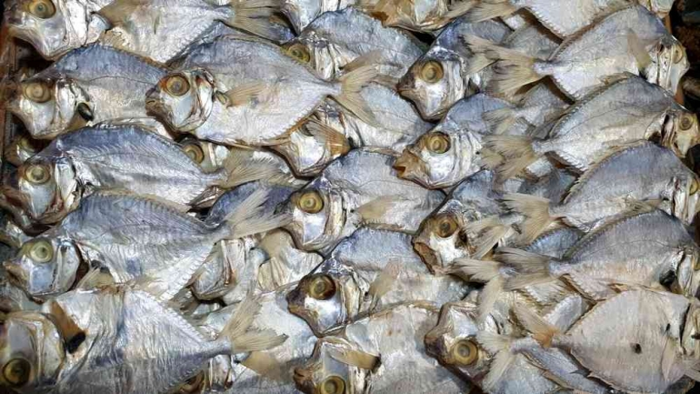 Ilustrasi Pengolahan Ikan Asin Nagari Air Bangis (Sumber: shutterstock.com)