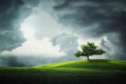 Ilustrasi: Sebuah pohon kecil di tengah padang rumput yang hijau dengan langit mendung. Sumber: Pixabay / Bessi