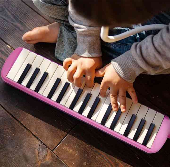 ilustrasi: www.lazada.com.ph/products/32-piano-keys-melodica-horn-musical-instrument-with-carrying-bag-for-beginner-kids-children-gift