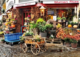 Jatuh cinta dengan imutnya toko bunga di sudut jalan kota Zurich | foto: HennieOberst 