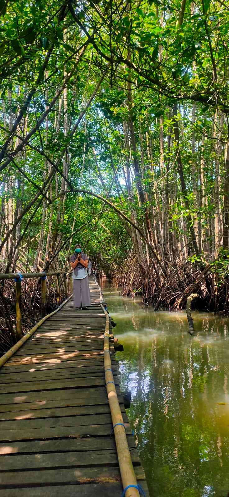 Belajar Dari Alam: Ekowisata Mangrove Muara Kali Ijo - Kompasiana.com