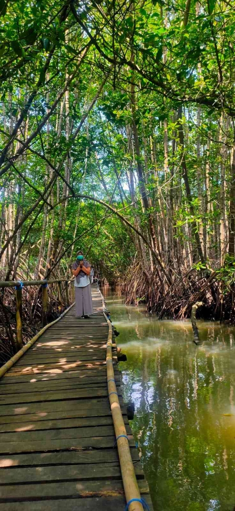 Dokumentasi Pribadi - Hutan Mangrove Muara Kali Ijo