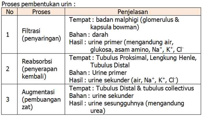 sumber gambar : Ruang Guru