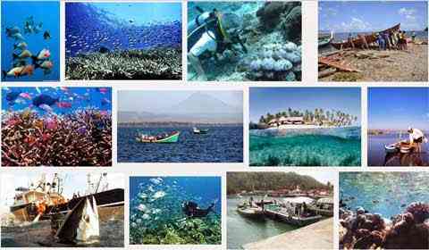Kolase kekayaan laut Indonesia (Berita Hukum.Com)
