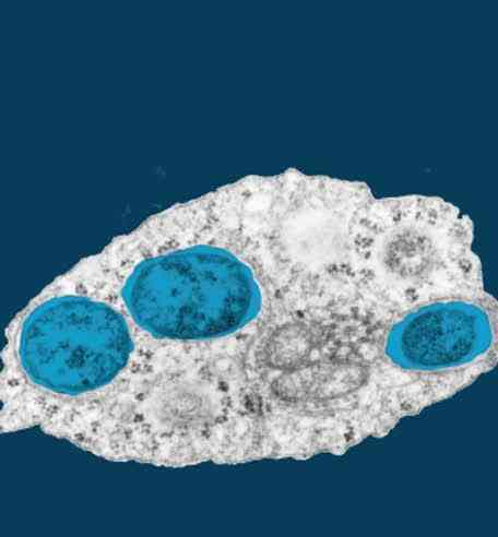 Gambar: https://encrypted-tbn0.gstatic.com