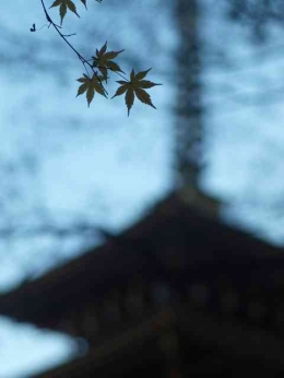 Musim gugur di Takahata Fudou-son (dokpri)