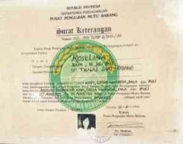 sertifikat dari departemen perdagangan (dok pribadi)
