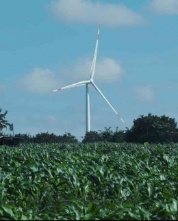 Energi angin memberikan kontribusi positif dalam mengurangi jejak karbon (Dok. Pribadi)