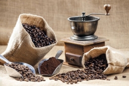 Ilustrasi biji kopi dan alat penggiling biji kopi. (Dok. Shutterstock/Richard Semik via kompas.com)