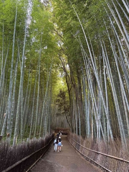 Hutan Bambu Arashiyama/dokpri
