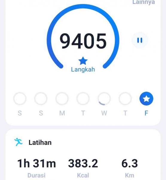 Tangkapan layar statistik pedometer (dokumen pribadi)