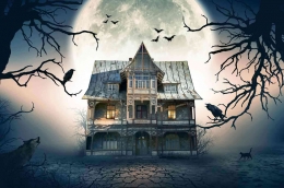 https://www.annmariejohn.com/the-best-haunted-houses