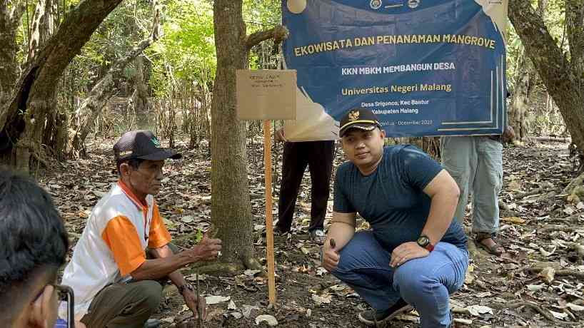 Menyelami Keindahan Alam Dan Inovasi Ekowisata Untuk Keseimbangan Alam ...