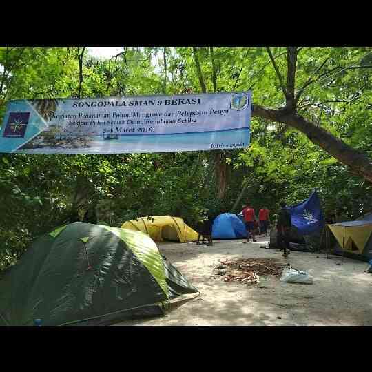 Tanam Bakau dan Pelepasan Penyu di Pulau Semak Daun, Maret 2018 (dokumen Songopala)