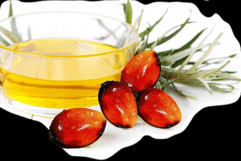 Sumber: https://www.nusakita.id/product/nusakita-cooking-oil