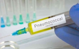 vaksin pnemonia sumber gambar kabar 34 bisnis.com