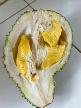 Durian Musang King (Foto : DPKP Pandeglang)