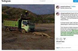 Unggahan Akun Instagran @gregoriusafioma mengenai kondis pembangunan di Pulau Rinca.(Instagram @gregoriusafioma) 