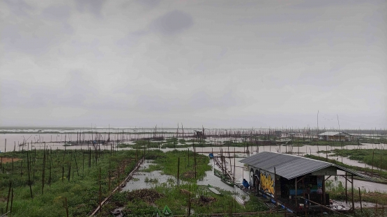 Pemandangan Danau Rawa Pening
