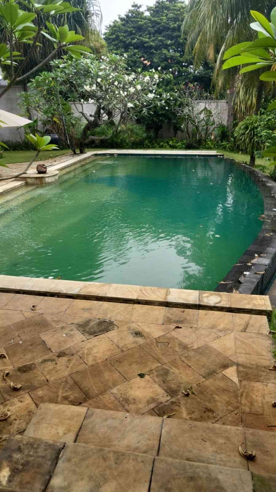 Contoh kolam renang hijau sebelum watertreatment ( Foto/Tario )