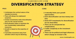 https://www.careercliff.com/diversification-strategy/