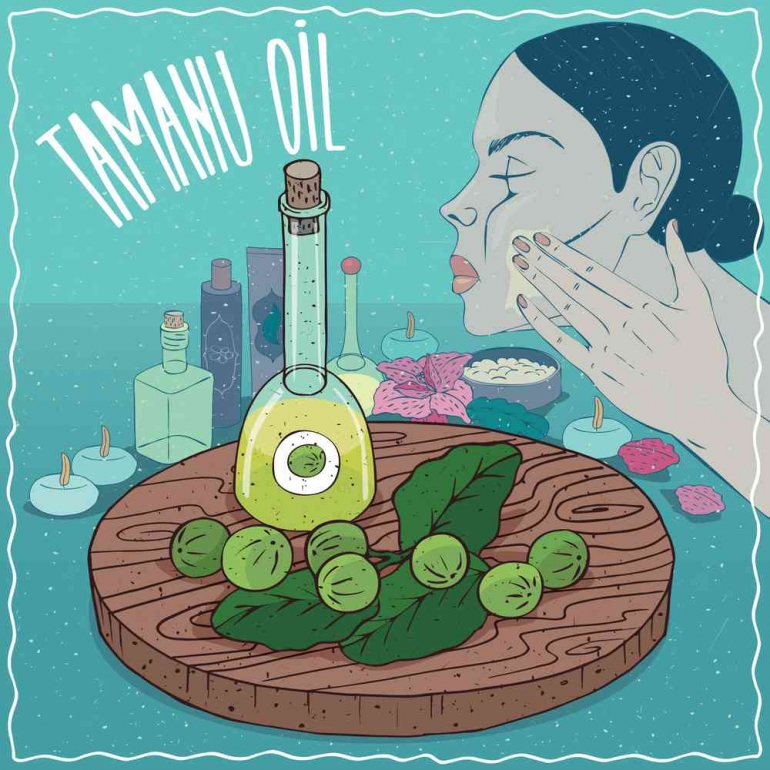 Manfaat Minyak Tamanu untuk Kesehatan dan Wajah 3 https://reviewkita.com/manfaat-minyak-tamanu-untuk-kesehatan-dan-wajah/