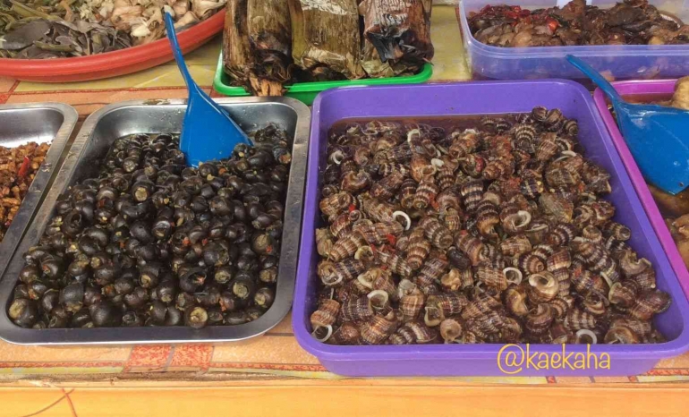 Aliling Si Imut Penghuni Rawa yang Kaya Manfaat Halaman 1 - Kompasiana.com