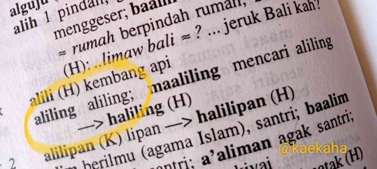 Aliling Si Imut Penghuni Rawa yang Kaya Manfaat Halaman 1 - Kompasiana.com