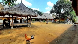 Keseharian masyarakat di Desa Wisata Sasak Ende (foto: dokumentasi pribadi)
