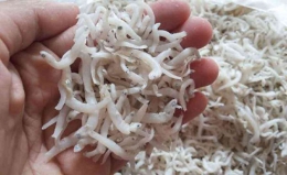 Teri nasi mentah kering (sumber: portalmadura.com)