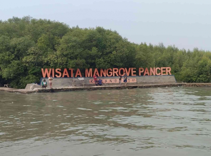 Suasana Wisata Mangrove Pancer / Foto Dokumentasi Pribadi / Ade Setiawan