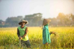https://www.pramborsfm.com/news/indonesia-diprediksi-tak-akan-miliki-petani-pada-tahun-2063