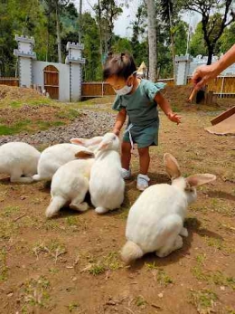 Kelinci-kelinci di Rabbit Castle. Sumber: Google (Neng Hanna)