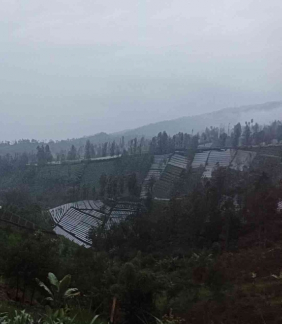 Melepas ketegangan, berhenti sejenak menatap indahnya alam (dokpri)