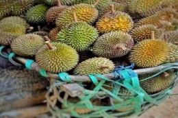 Menikmati hasil hunting durian bersama keluarga pecinta durian. (foto Akbar Pitopang)