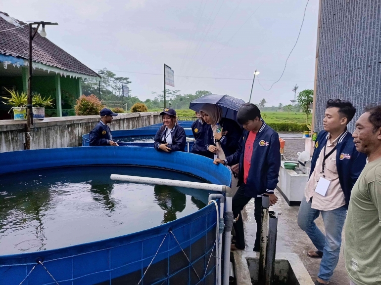 Observasi kolam lele di BUMDES (Sumber: Dokumentasi pribadi)