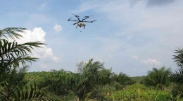 Drone sprayer Terra Agri